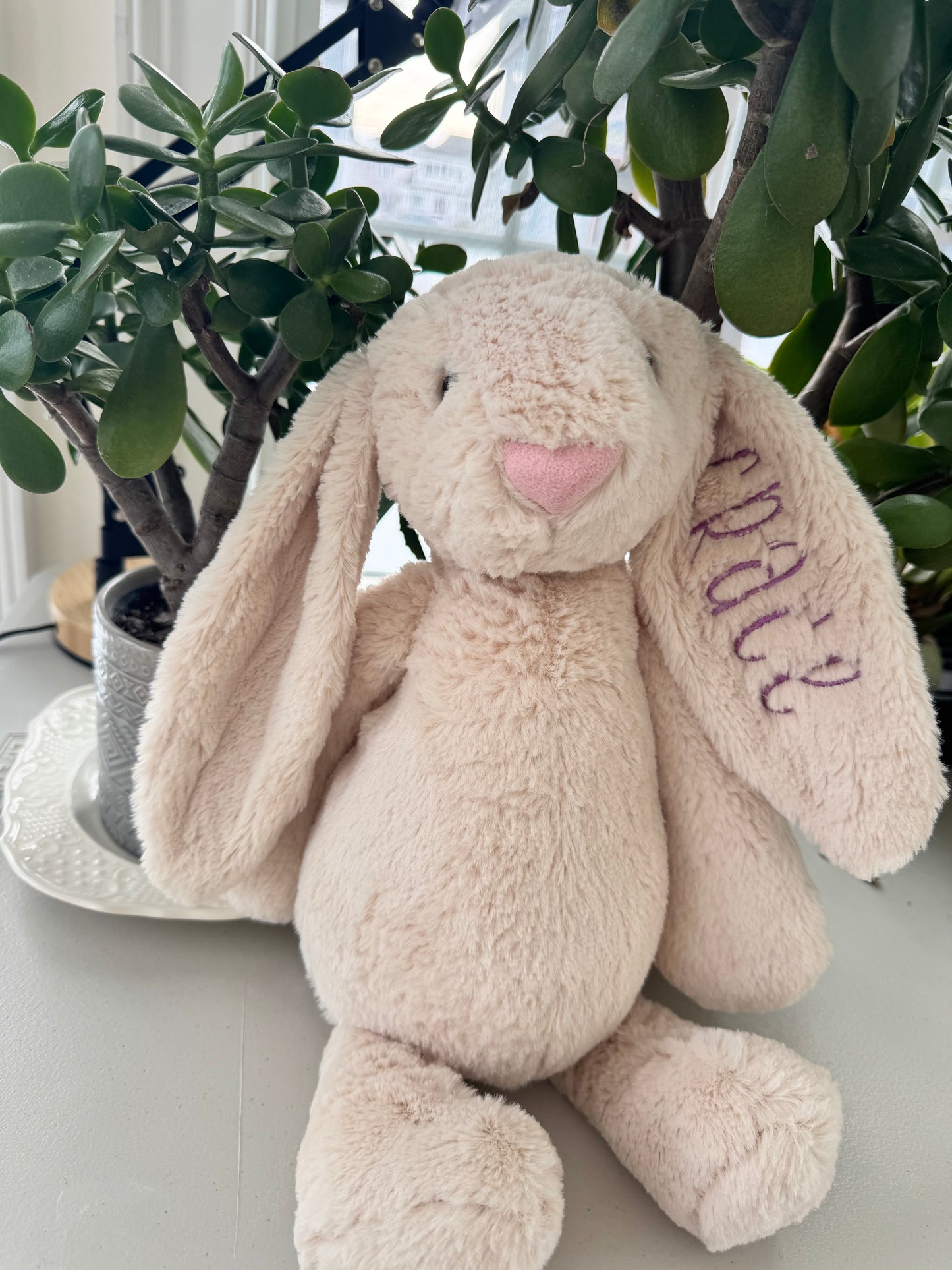 Custom Bunny Stuffed Animal