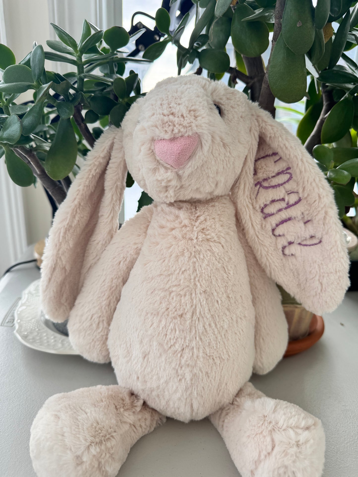 Custom Bunny Stuffed Animal